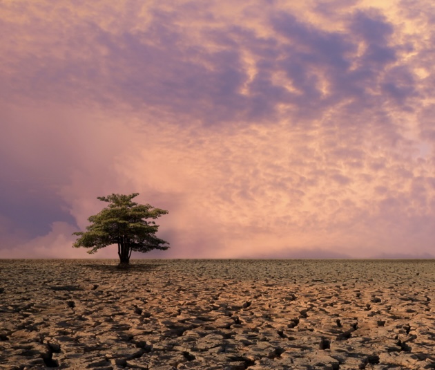 ¿Se nos viene un super-El Niño con eventos ambientales extremos?