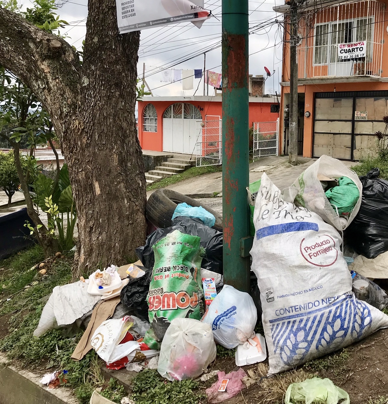 Xalapa, sin recolección de basura, este viernes 